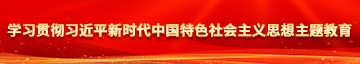 日骚黄淫学习贯彻习近平新时代中国特色社会主义思想主题教育